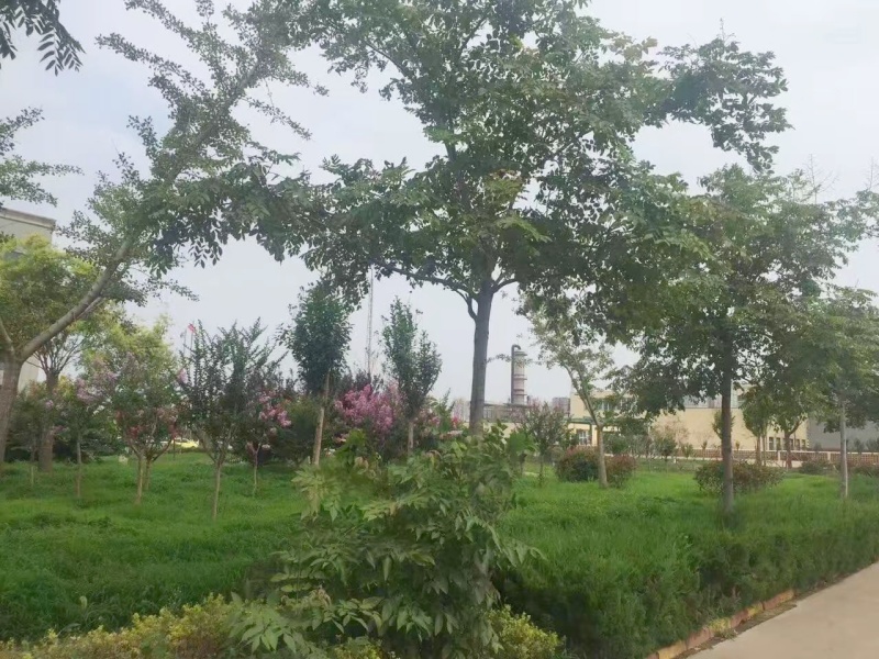 A corner of the factory area
