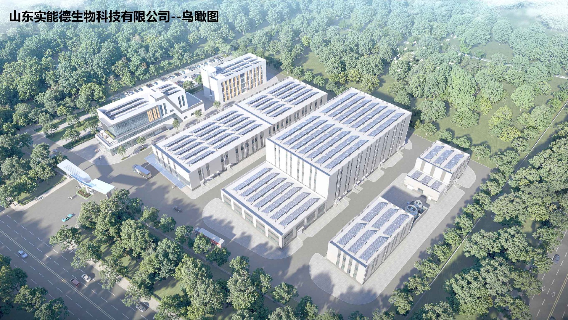 实能德公司效果图-鸟瞰图
